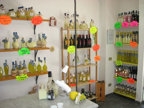 Liköre im Laden der Fabrik Limoné in Neapel.(© Redaktion - Portanapoli.com)
